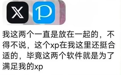 这张图展示了手机桌面上的X（原Twitter）和P站的应用图标，下方配文玩了“xp”的双关梗：一方面两个软件图标首字母组合成“xp”，另一方面“xp”作为网络热词指代个人特殊喜好、癖好。用户表示一直把这两个软件放在一起，调侃这两个软件刚好契合自己的兴趣偏好，能够满足自己的个人喜好。