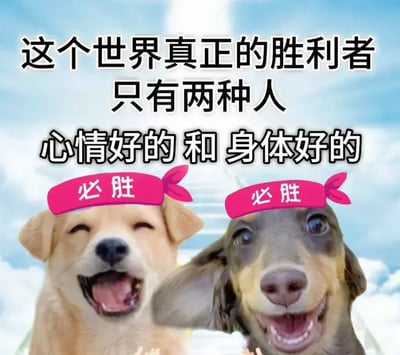 这是一张治愈系的P图改编表情包，背景是带有阶梯的蓝天白云场景，营造出明亮开阔的氛围。画面主体是两只戴着粉色“必胜”头带的小狗，左侧浅米色小狗眯起双眼、张嘴吐舌，表情兴奋愉悦，姿态欢快；右侧深毛色小狗咧嘴露齿、眼睛明亮，同样充满活力。图片上方配有醒目的励志文字：“这个世界真正的胜利者只有两种人 心情好的 和 身体好的”，将“胜利者”的定义聚焦在身心健康上，整体风格温暖治愈，传递出重视情绪与身体健康的积极态度，适合用于自我鼓励或向他人传递正能量。