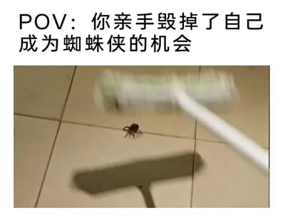 这是一张搞笑玩梗的静态图，画面上方配有文字“POV：你亲手毁掉了自己成为蜘蛛侠的机会”，下方实拍场景是一只小蜘蛛在浅色瓷砖地面上爬行，一个白色粘毛滚筒正朝着蜘蛛挥去，滚筒的阴影投射在地面上，即将粘住这只蜘蛛。图片借用漫威蜘蛛侠的起源故事——主角被变异蜘蛛咬伤获得超能力——作为梗点，将日常清理蜘蛛的行为调侃成“错失获得超能力、成为蜘蛛侠的机会”，通过反差感制造搞笑效果，让观众产生“原来我曾经错过超能力”的趣味共鸣。