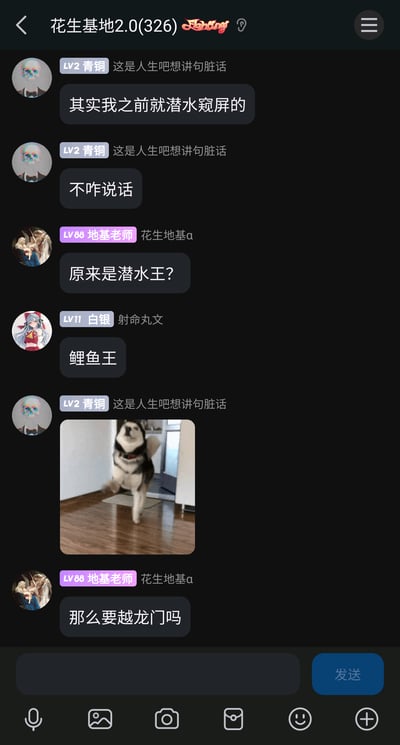 这是一张国内即时通讯群聊的竖屏截图，群名为“花生基地2.0(326)”。群成员“这是人生吧想讲句脏话（LV2青铜）”发言称自己之前一直潜水窥屏、不怎么说话，成员“地基老师（LV88）”调侃其为“潜水王”，随后成员“射命丸文（LV11白银）”玩起宝可梦梗，说“鲤鱼王”，紧接着“这是人生吧想讲句脏话”发送了一张哈士奇蹦跳的搞笑动图，“地基老师”顺势接梗问道“那么要越龙门吗”，整体是群友间用宝可梦鲤鱼王跃龙门进化的梗来调侃潜水成员的轻松搞笑互动氛围。