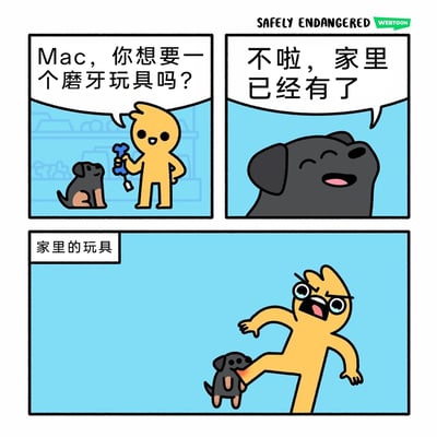 这是一则三格连环搞笑漫画，第一格中，黄色卡通人形的主人面带笑容，手持蓝色骨头造型的磨牙玩具，询问面前的小狗Mac是否想要；第二格是小狗Mac的特写，它笑着回应主人，表示家里已经有磨牙玩具了；第三格标注“家里的玩具”，揭晓了令人哭笑不得的真相：小狗Mac正咬着主人的小腿，主人则露出愤怒又痛苦的表情，肢体后仰，大张着嘴，用这种反差感的情节，生动展现了宠物把主人身体当成玩具的趣味日常，充满了搞笑的氛围。