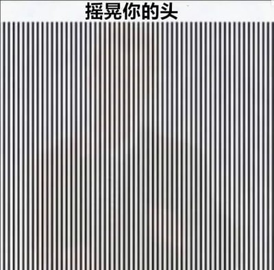 图片顶部为白色背景黑色文字“摇晃你的头”，下方是大面积等宽垂直黑白相间条纹。当观看者摇晃头部时，条纹会产生动态移动或波浪状的视觉错觉效果，属于常见的互动型趣味视觉图片。