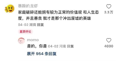 这是一张社交媒体评论区的截图，置顶评论用户“暴躁的龙虾”发布内容，感慨自己在家庭破碎的成长环境中，依然拥有较为正常的价值观与人生态度，并且保持善良，称自己是“冲出废墟的英雄”，该评论获得3.3万点赞，发布于04-02，IP属地为湖南；另一用户“momo”回复“是的，你是”表示认同，该回复获得4000点赞，发布于同日，IP属地为河南。截图下方显示还有954条回复未展开，界面带有用户头像、点赞按钮等社交媒体评论区常见元素。