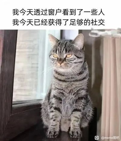 暂无描述