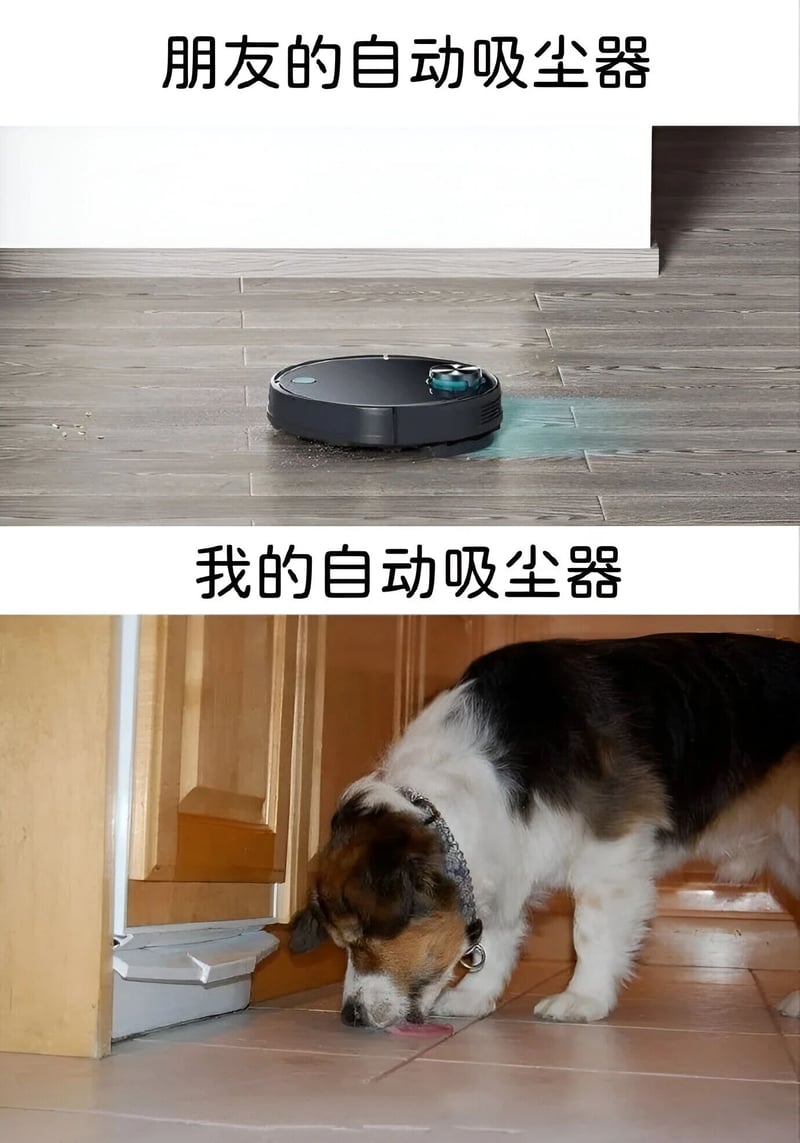 狗