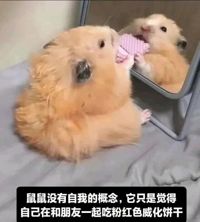 暂无描述