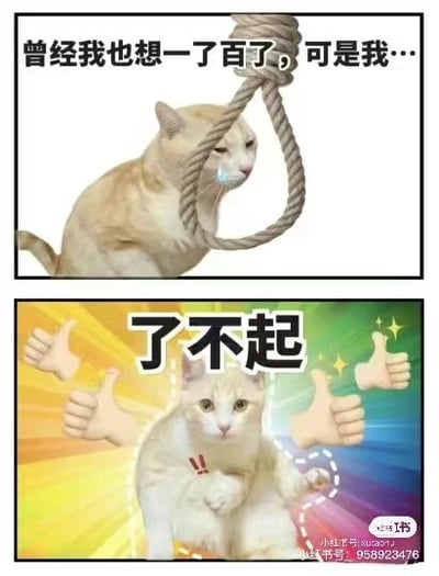 这是一张上下拼接的连环对比类猫咪表情包，属于搞笑励志的网络梗图。上图是一只橘猫，脖子套在麻绳圈中，脸上挂着泪水，神情悲伤低落，配文“曾经我也想一了百了，可是我…”，营造出绝望、低谷的情绪氛围；下图是一只白猫，背景是彩色放射状光芒，周围环绕多个竖起的点赞手势，猫咪抬起一只爪子，配文“了不起”，传递出自我肯定、振作起来的积极态度。通过上下图的强烈情绪反差，用幽默的方式表达了从低谷中走出、自我鼓励的励志内核，给人带来正向的情绪价值。