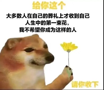 这是一张图文混排的静态表情包，主体是经过P图改编的柴犬Cheems衍生形象，它抬起爪子，手举一朵黄色小花，表情温和恳切。图片上方配有黄色文字“给你这个”，中间是黑色的核心文字“大多数人在自己的葬礼上才收到自己人生中的第一束花，我不希望你成为这样的人”，右下角是黄色文字“请你收下”。整体内容用略带扎心的现实表述，传递出及时珍惜当下、给予与接收温暖的暖心祝福，提醒对方不要等到失去后才拥有遗憾的“第一束花”，风格治愈又引人深思，适合用来给亲友传递关怀与问候。