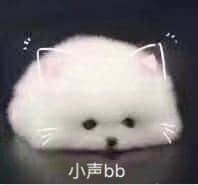 戴着猫耳朵的小白狗小声bb