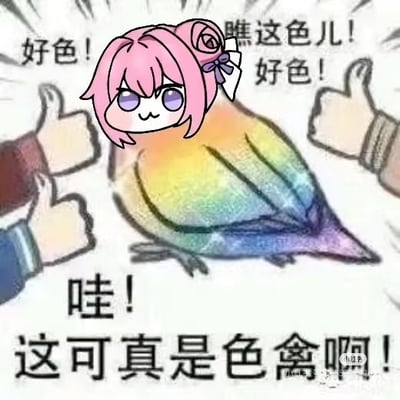 图中核心角色为Doro，其头部是粉色双马尾卡通形象，带有紫色蝴蝶结，眼睛呈紫色，表情呆萌；身体则是色彩鲜艳的彩虹色鸟类形态。角色左右两侧各有一只竖起的大拇指手势，周围环绕着“好色！”“瞧这色儿！”“哇！这可真是色禽啊！”等中文文字。画面通过“色”字的双关（既指颜色鲜艳，又谐音“好色”）制造幽默效果，整体风格可爱搞笑。