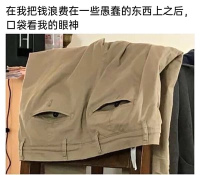 这是一张充满趣味的生活梗图，画面主体是一条搭在椅子上的卡其色裤子，其两个口袋的形状和位置恰好形成视觉错觉，看起来像一双带着无奈、嫌弃情绪的人类眼睛。图片上方配有文案“在我把钱浪费在一些愚蠢的东西上之后，口袋看我的眼神”，采用拟人的创作手法，将口袋拟人化为“钱包的化身”，生动地表现出人们在冲动消费、乱花钱之后，内心对自己行为的懊悔，以及仿佛钱包在“责怪”自己的微妙心理，容易引发有类似经历的人的强烈共鸣，整体风格幽默接地气。