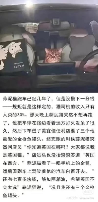 这是一张图文混排的小猫文学作品，上半部分是汽车内饰的实拍照片，一只虎斑小猫从驾驶位的扶手箱位置探出头，视觉上仿佛小猫正坐在驾驶座准备开车，副驾驶靠背上还有一块印有猫咪图案和倒置英文的靠垫；下半部分配了小猫文学风格的故事文字，讲述做跑车司机的蒜泥猫跑了几年车只拿到人类30%的收入，没攒下钱，某天它突然不想继续跑车，停下车买了自己最爱的金枪鱼罐头，询问店员英国的方向后，带着仅剩的七百多块钱加满油，开车向西出发去寻找英国的故事，文风质朴治愈，带着淡淡的浪漫感。