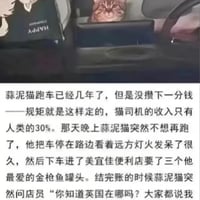 小猫文学缩略图