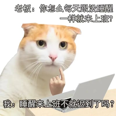 这是一张聚焦职场打工人日常的搞笑合成梗图，画面采用PS合成的方式，将白橘色猫咪的头部与做出竖中指手势的人手结合，猫咪面前摆放着一台笔记本电脑，模拟打工人坐在工位上的场景。图中设置了老板与员工的对话：老板质疑员工“你怎么每天跟没睡醒一样就来上班？”，员工则回怼“睡醒来上班不就迟到了吗？”，用黑色幽默的方式精准吐槽了当代打工人因通勤时间过长、不得不早起赶班的职场无奈，通过搞怪的视觉形象和尖锐的对话，戳中众多打工人的共鸣，是用于职场情绪宣泄的典型搞笑表情包。
