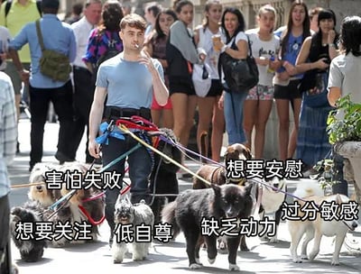 这是一张经过二次创作的趣味梗图，核心内容是演员丹尼尔·雷德克里夫在街头同时牵引多只狗的照片，创作者为每只狗添加了代表不同负面心理状态的中文标签，包括“想要关注”“害怕失败”“低自尊”“缺乏动力”“想要安慰”“过分敏感”。图中用被多只狗拉扯、分身乏术的状态，生动比喻了当代人同时被多种消极情绪裹挟、身心俱疲的状态，通过自嘲的方式引发人们在情绪上的共鸣，画面既有趣味性又精准戳中了很多人的情绪痛点。