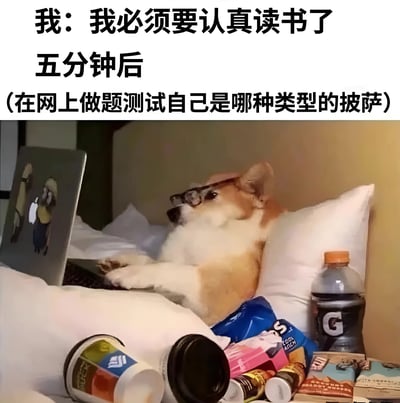 图片上方配有文字“我：我必须要认真读书了 五分钟后（在网上做题测试自己是哪种类型的披萨）”，下方是一只戴着眼镜的柯基犬躺在床上，前爪放在笔记本电脑上，周围散落着薯片、饮料等零食，表情悠闲。通过文字与图像的反差，幽默地展现了人们立志学习却迅速被无关琐事分心的拖延行为。