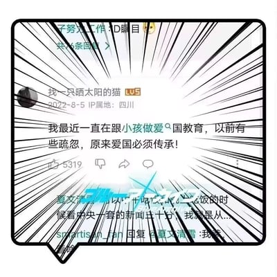 这是一张社交媒体评论截图，用户“找一只晒太阳的猫”（LV5，IP属地四川）于2022年8月5日发布评论称：“我最近一直在跟小孩做爱​国教育，以前有些疏忽，原来爱国必须传承！”。该评论获得5319个点赞，截图被添加了黑色放射状线条的漫画风格边框，增强视觉效果。评论下方可见部分回复内容，但被模糊处理。