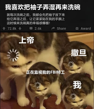 这是一张上下结构的搞笑梗图。上方是一段文字，描述了一个特别的生活习惯："我喜欢把袖子弄湿再来洗碗，就每次洗碗之前，我都会先把袖子放下来给它弄湿之后，让它紧紧贴在我的手腕上，这时候来洗碗真的幸福感爆棚！" 下方是四只表情严肃的猫咪图片，每只猫的头上都有一个发光的图标，分别被标注为"上帝"、"撒旦"、"正在监视我的FBI特工"和"我"。图片通过将日常小事与神圣、邪恶和监视力量并列，创造出幽默效果，暗示这种奇怪习惯引起了各方的关注。