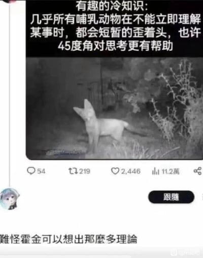 这是一张在中文社交网络流传的搞笑梗图，整体分为上下两部分：上方是一段冷知识科普文字，内容为“有趣的冷知识:几乎所有哺乳动物在不能立即理解某事时,都会短暂的歪着头,也许45度角对思考更有帮助”，并配有一张红外拍摄的黑白照片，照片里的狐狸正歪着头，呈现出疑惑思考的姿态；下方是一句玩梗配文“难怪霍金可以想出那么多理论”，利用冷知识里“歪头帮助思考”的内容，结合物理学家霍金因患病导致头部长期倾斜的真实情况，制造出荒诞的关联式搞笑效果，属于典型的网络玩梗创作。