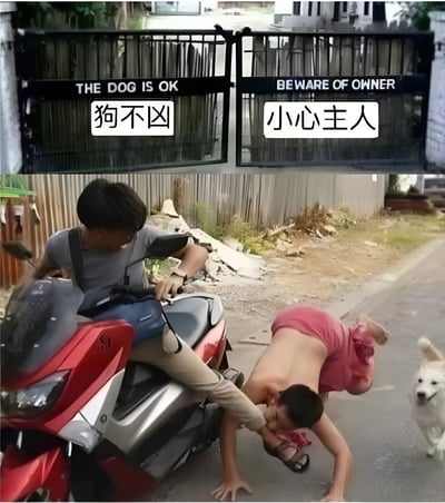 图片由上下两部分组成。上半部分是两扇铁门，左侧铁门上有英文“THE DOG IS OK”和中文“狗不凶”的标识，右侧铁门上有英文“BEWARE OF OWNER”和中文“小心主人”的标识。下半部分是一个真实场景：一名穿着灰色上衣的男子坐在红色摩托车上，伸出腿踢向一名赤裸上身、穿着粉色裤子趴在地上的男子，旁边有一只白色的狗平静地站着。图片通过警示牌的文字与下方冲突场景形成反差，营造出“狗不凶但主人很凶”的幽默讽刺效果。