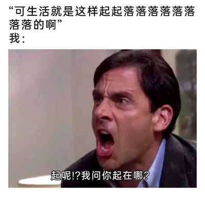 这张梗图通过文字和愤怒男人的表情，幽默地表达了生活中只有低谷没有高峰的无奈情绪。上方文字描述生活是起起落落但大多是落落，下方男人大喊质问‘起呢？’，形成强烈对比，引发观众共鸣。