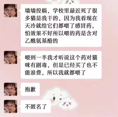 这是一段校园投稿墙的聊天记录截图，投稿人自称因天冷给学校的流浪猫投喂含对乙酰氨基酚的感冒药，中途得知该药物对猫咪有剧毒，但为了不浪费已购买的药物，仍坚持喂完，导致大量猫咪死亡，最后仅轻飘飘留下一句'抱歉'，并且选择不匿名。投稿人漠视流浪猫生命、将药物浪费置于生命之上的离谱逻辑，极易引发观者的愤怒与不适。