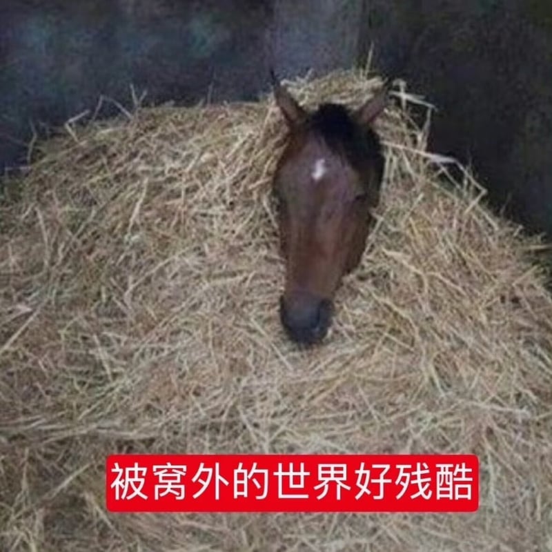 马