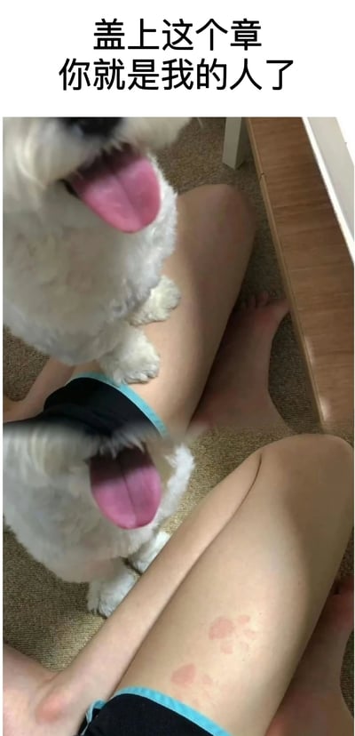 这是一张两格对比图，上方文字写着'盖上这个章 你就是我的人了'。上格中一只白色小狗吐着舌头坐在人的腿上，下格中同一只狗同样坐在人腿上，但人的腿上多了几个狗爪印，幽默地表现小狗用爪印'盖章'宣示所有权的可爱场景。