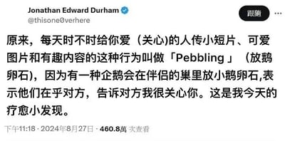 这是一张Twitter社交媒体截图，显示用户Jonathan Edward Durham的推文内容。推文解释了一种名为'Pebbling'(放鹅卵石)的行为——即每天给关心的人发送短片、可爱图片和有趣内容，类比企鹅在伴侣巢中放置小鹅卵石以表达在乎的行为。推文发布于2024年8月27日下午11:18，累计获得460.8万次查看，被作者称为'今天的疗愈小发现'。