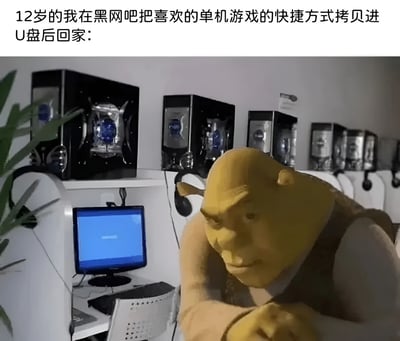 这是一张幽默梗图，上方配有文字“12岁的我在黑网把喜欢的单机游戏的快捷方式拷贝进U盘后回家：”，下方图片中动画角色史莱克出现在一个摆放着多台电脑主机的网吧环境里，他俯身向前，表情严肃专注，仿佛正小心翼翼地完成“拷贝游戏”的操作。图片通过将经典动画角色与童年常见的“电脑操作误区”（拷贝快捷方式而非实际游戏文件）相结合，营造出怀旧又搞笑的效果，引发经历过类似情况的网友共鸣。