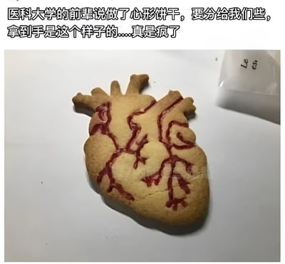 图片展示了一块形状酷似人体解剖心脏的饼干，表面用红色糖霜绘制了详细的血管网络。上方配文描述：'医科大学的前辈说做了心形饼干，要分给我们些，拿到手是这个样子的……真是疯了'。这种将医学专业知识与日常点心结合的创意产生了强烈的反差萌和幽默感，体现了医学生独特的脑洞和专业特色。
