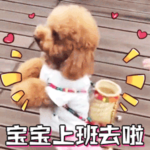 小狗宝宝上班去啦