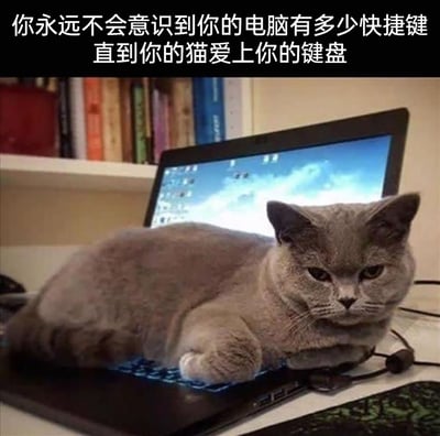 这张静态实拍图中，一只胖乎乎的灰色英国短毛猫正一脸严肃地趴在笔记本电脑的键盘上，完全占据了键盘区域，键盘的蓝光从它身下透出。图片顶部配有文字“你永远不会意识到你的电脑有多少快捷键直到你的猫爱上你的键盘”，调侃了猫咪喜欢趴在键盘上的习性：当猫咪趴在键盘上时，会误触各种快捷键，让使用者意外发现电脑还有很多自己未曾留意的快捷键功能，十分贴合养猫的上班族或电脑使用者的日常趣事，充满生活趣味。