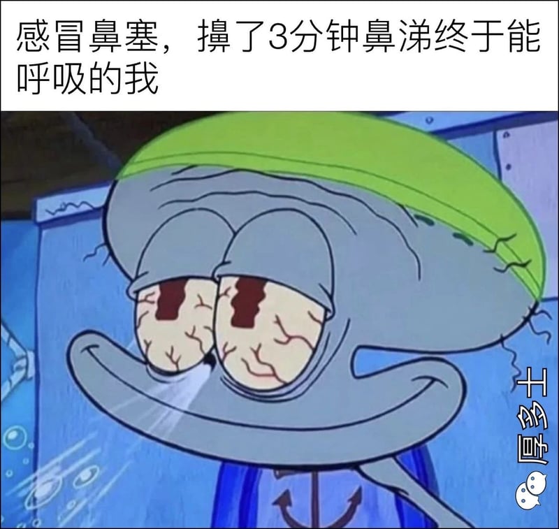 章鱼哥