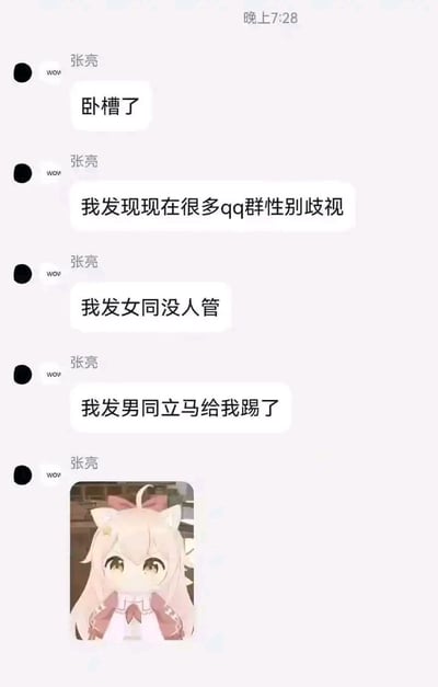 这是一张QQ聊天界面的静态截图，顶部显示时间为晚上7:28，用户名为张亮的账号连续发送多条消息：先是感慨“卧槽了”，随后称现在很多QQ群存在性别歧视，举例自己发布女同相关内容时没有被群管理干预，但发布男同相关内容后立刻被踢出群聊，最后附上了一张浅粉色头发、带有猫耳和粉色蝴蝶结的二次元兽耳少女表情包，用来表达自己无奈、无语的情绪。