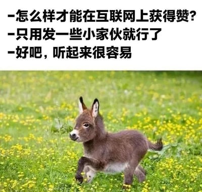 这是一张图文结合的趣味梗图，上方配有三段对话式文字：“-怎么样才能在互联网上获得赞？-只用发一些小家伙就行了-好吧，听起来很容易”，下方是一张实拍照片，一只迷你小毛驴在开满黄色小花的草地上欢快奔跑，模样软萌呆萌。这张图用可爱的小动物呼应了文字里的“小家伙”，精准契合了网络社交中可爱内容更容易获得点赞的现象，整体风格轻松治愈，充满搞笑趣味，没有双关、谐音梗等内容。