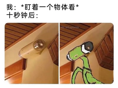 这是一张左右对比的趣味梗图，左侧展示了一个安装在室内墙角的米色监控设备，设备的外形带有突出的圆形镜头；右侧则是基于这个监控设备的外形进行的涂鸦创作，将其脑补成了一只绿色的卡通长颈鹿，监控的镜头部分对应长颈鹿的脸部，设备的延伸部分对应长颈鹿的脖子。图片上方配有文字“我：*盯着一个物体看* 十秒钟后：”，生动调侃了当人长时间注视一个普通物体时，会因视觉疲劳产生有趣的视觉错觉，把日常物品联想成完全不同的形象，这种联想将监控的外形和长颈鹿的头部、脖子特征巧妙结合，充满了幽默的反差感。