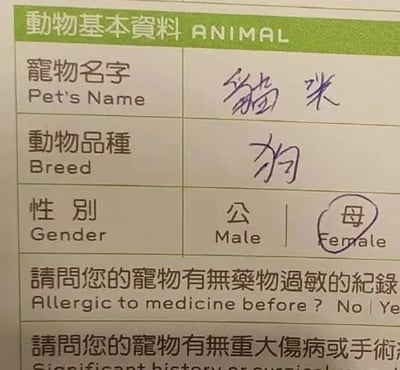 一张宠物基本信息表的照片，表格标题为“动物基本资料 ANIMAL”。表格中“宠物名字”一栏手写填“猫咪”，但“动物品种”却填“狗”，出现明显矛盾。性别一栏勾选了“母”，下方还有关于药物过敏史的问题。整体内容因名字和品种不匹配产生幽默效果。