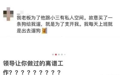 图片内容是一则职场吐槽，讲述了老板为了与小三独处，买了一条狗让员工每天带出去遛，实际是变相支开员工以获得私人空间。文中‘遛狗’有被支开的双关语义，内容体现出职场荒谬和员工的无奈。下方还有“领导让你做过的离谱工作？”的互动提问。这种内容多用于吐槽、分享“离谱岗位经历”。