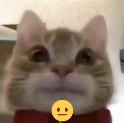 这是一张趣味静态表情包，主体是一只橘色虎斑猫，其脸部画面被模糊处理，呈现出怪异的呆滞感，眼睛大睁，面部线条扭曲。在猫咪下巴位置叠加了一个黄色的无表情😐emoji，进一步强化了无语、麻木、不想回应的情绪氛围，适合在聊天中用来表达无奈、敷衍、无语的心情。