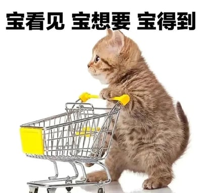 图片中是一只站立的棕色小猫，用前爪抓着一个迷你购物车的黄色把手，表情专注地望向一侧。图片上方配有黑色粗体文字“宝看见 宝想要 宝得到”，以第一人称“宝”（网络流行的可爱自称）表达了看到喜欢事物就想要拥有的强烈渴望。整体画面可爱又幽默，通过小猫推购物车的拟人化场景，生动展现了人们面对心仪物品时的消费欲望。