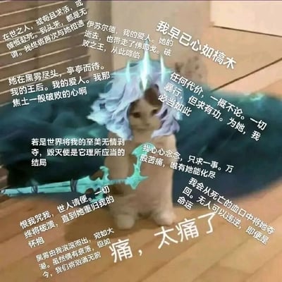 这是一张融合游戏梗与网络表情包的改编创作图，以一只神态低落、满是悲伤的猫咪为基底，为其P上了MOBA游戏《英雄联盟》中破败之王·佛耶戈的标志性蓝白色发型与武器破败王者之刃，同时在图片四周环绕了佛耶戈的经典台词，底部配上「痛，太痛了」的文字，将佛耶戈因爱人逝去而癫狂、痛苦的偏执人设，与猫咪低落痛苦的神态完美结合，放大了极致悲伤的情绪，是用来表达强烈难过、痛苦心情的游戏梗表情包。
