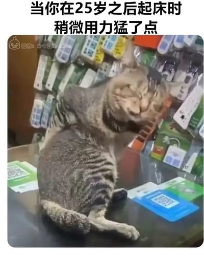 这张配字梗图用一只表情扭曲、身体僵硬的猫，生动表现了25岁之后稍用力起床就会“闪到”或者身体不舒服的无奈。猫的怪异坐姿和夸张表情与文案形成幽默对比，意在吐槽成长的代价和年轻人身体机能下降的现实。

无明显谐音或暗示，单纯用视觉冲击力+日常吐槽制造共鸣。