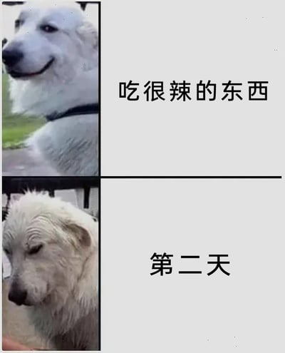 这是一张上下分栏的对比类梗图，上半部分展示了一只嘴角上扬、表情得意享受的白色狗狗，搭配文字“吃很辣的东西”，还原了人们吃辣时畅快不在意的状态；下半部分是同一只狗狗，毛发凌乱、眼皮耷拉，表情萎靡难受，搭配文字“第二天”，生动呈现出吃辣后肠胃不适、状态糟糕的后续反应。图中通过狗狗的强烈状态反差，调侃了吃辣一时爽、事后遭罪的真实生活体验，十分搞笑且有共鸣。