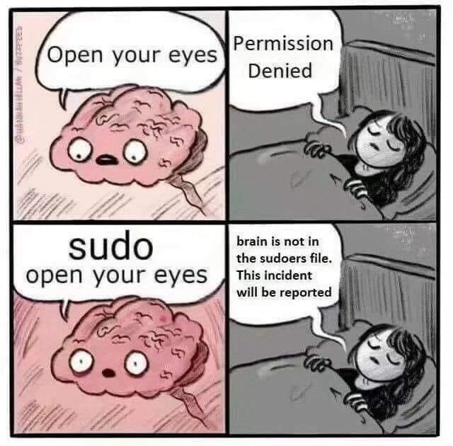 睡觉的人