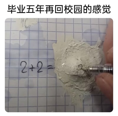这是一张用来调侃毕业多年后与校园知识脱节的趣味梗图，上方配有文字“毕业五年再回校园的感觉”，下方画面展示在方格纸上写着“2+2=”的基础算式，但等号右侧的区域被涂改液涂得破烂不堪，只能用笔在凹凸不平的涂改区域艰难地书写答案。图中用这种夸张的视觉表现，比喻毕业离开校园多年后，原本极其简单的知识都变得陌生，大脑仿佛“锈住”，面对基础学习内容时手足无措、费劲不已，精准戳中了毕业多年后重新接触校园知识的人群的共鸣，用搞笑的方式吐槽知识遗忘、学习状态倒退的尴尬。