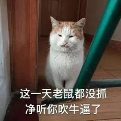 一只橘白相间的猫坐在门口，表情看起来有些不耐烦和嫌弃。图片下方配有文字：'这一天老鼠都没抓 净听你吹牛逼了'，用猫的视角幽默地表达对某人整天吹牛的不满。