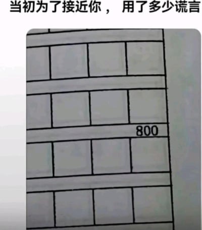 这是一张趣味梗图，上方配有文字“当初为了接近你，用了多少谎言”，下方是手绘的类似砖墙的黑白格子图案，其中一格标注了数字“800”，利用“800”谐音“八百”，将抽象的“大量谎言”具象化，用搞笑的方式调侃为了接近他人而编造诸多谎言的行为，充满玩梗的趣味。