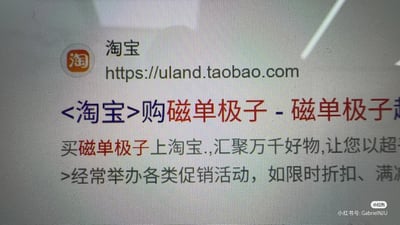 这是一张电脑屏幕截图，显示了淘宝网站的一个页面。页面顶部有淘宝的标志和网址"https://uland.taobao.com"，主要内容是关于购买"磁单极子"的商品信息，包含典型的电商促销文案，如"汇聚万千好物，让您以超...经常举办各类促销活动，如限时折扣、满减"等。右下角有小红书的水印和用户ID。