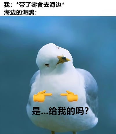 图片上方文字为“我: *带了零食去海边* 海边的海鸥:”，下方是一只白色海鸥的特写。海鸥头部微微倾斜，眼神看向镜头，胸前被P上了两个黄色的指向自己的手势表情包，下方配有文字“是...给我的吗?”。整体通过拟人化的手法，幽默地表现了海鸥看到人类带零食时的期待与渴望，场景生动有趣，充满生活气息。